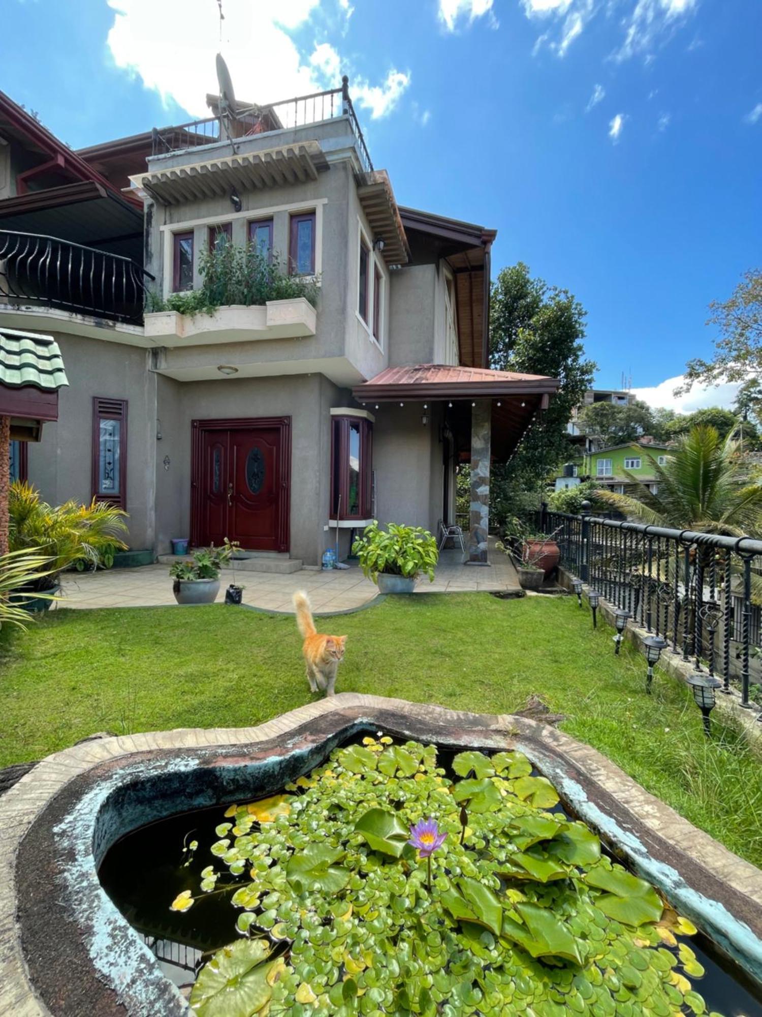 中国蒲公英民宿dandelion Guest House Villa With Mount View Канди Экстерьер фото